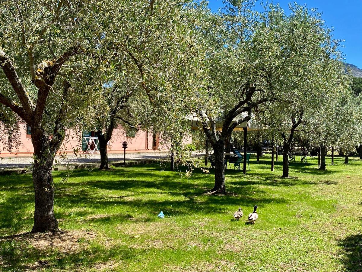 Residence Terme Isola D'Elba Srl Портоферрайо Экстерьер фото